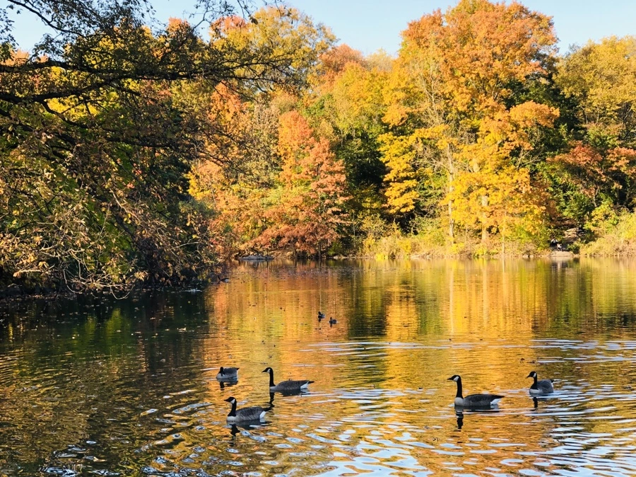 IMG_3553.jpg?type=w966