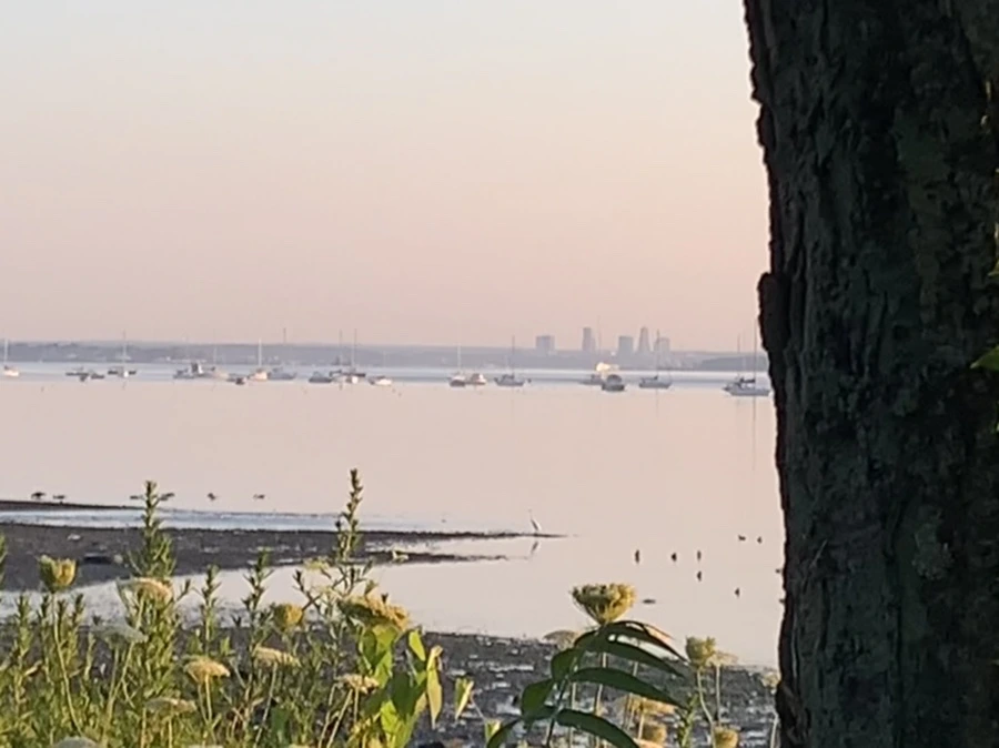 IMG_0242.jpg?type=w966