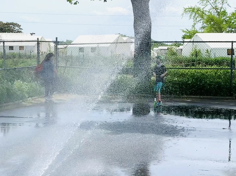 IMG_5110.jpg?type=w966