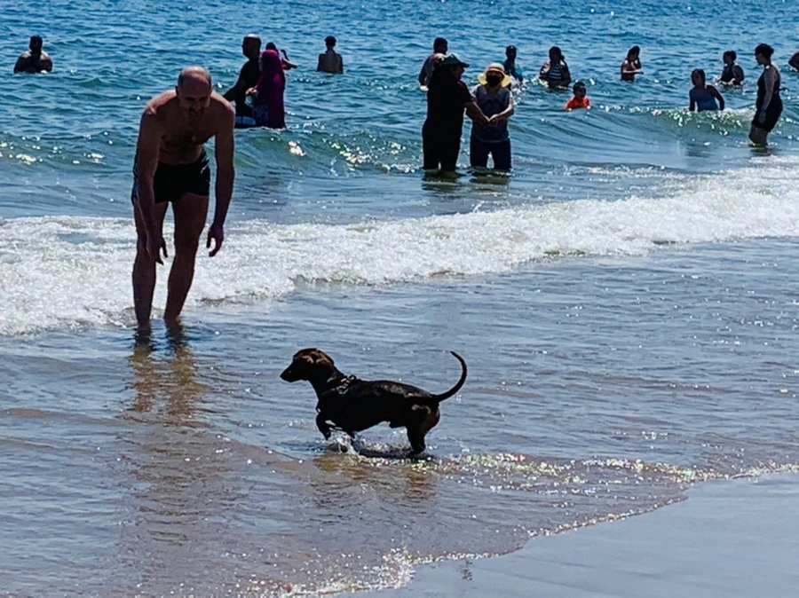 IMG_8802.jpg?type=w966