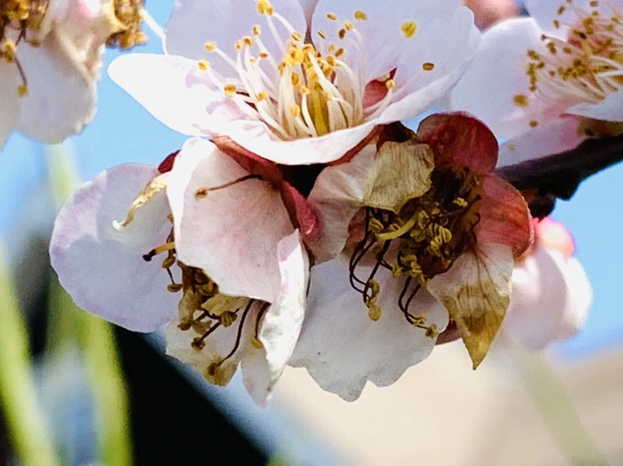 IMG_4203.jpg?type=w966