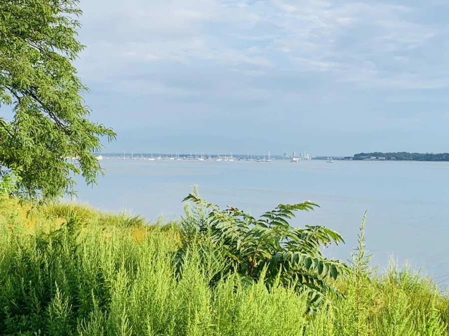 IMG_7837.jpg?type=w966