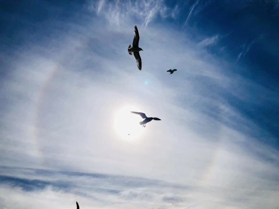 IMG_3201.jpg?type=w966