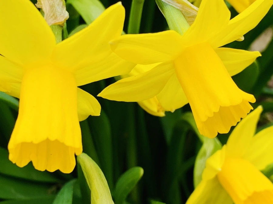 IMG_3220.jpg?type=w966