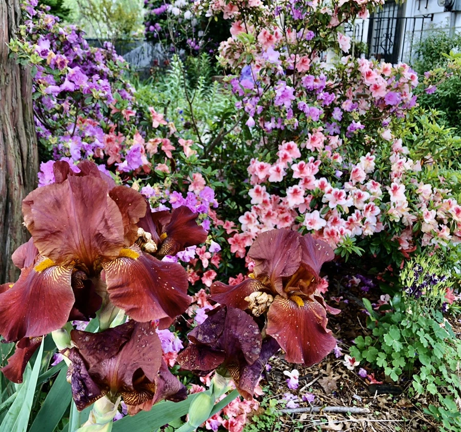 IMG_7574.jpg?type=w966