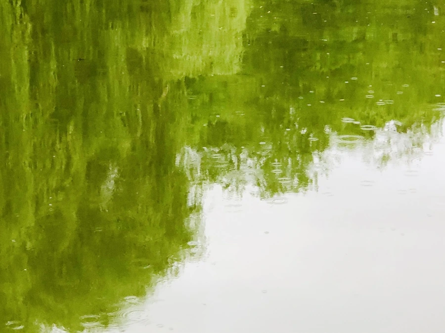 IMG_3224.jpg?type=w966