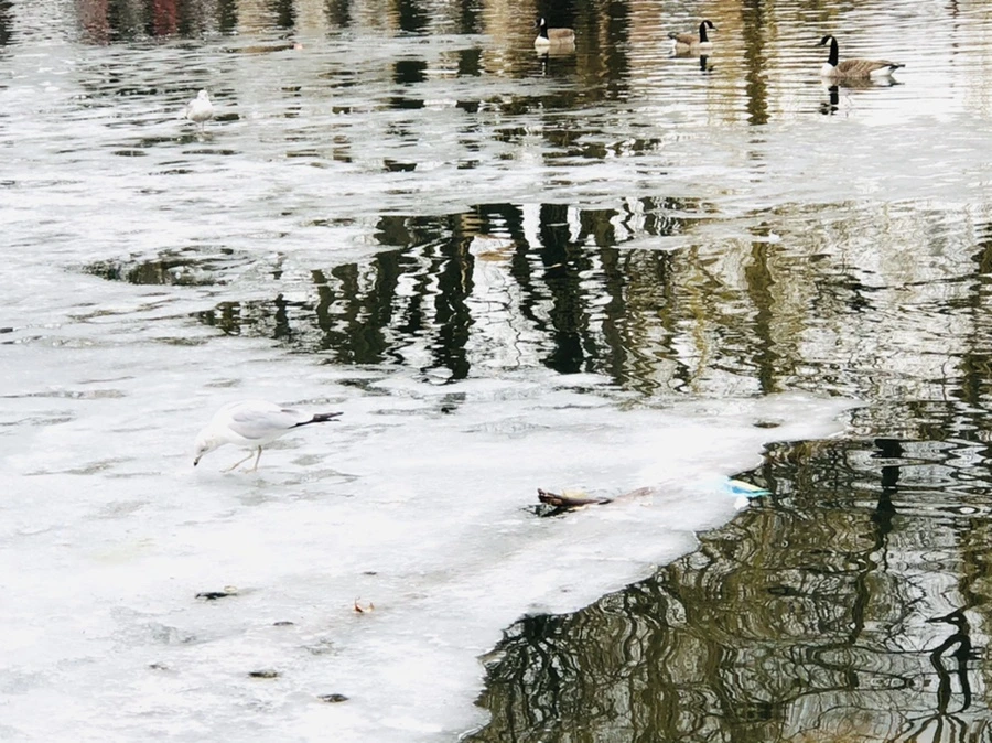 IMG_6376.jpg?type=w966