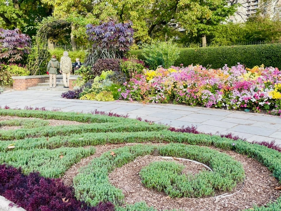 IMG_1201.jpg?type=w966