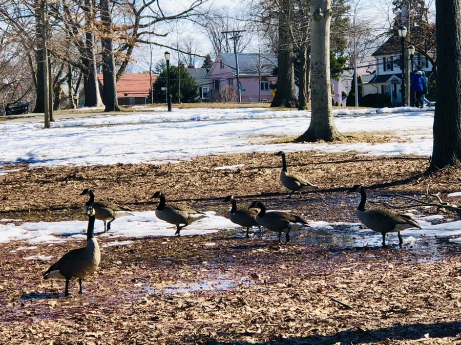 IMG_4670.jpg?type=w966