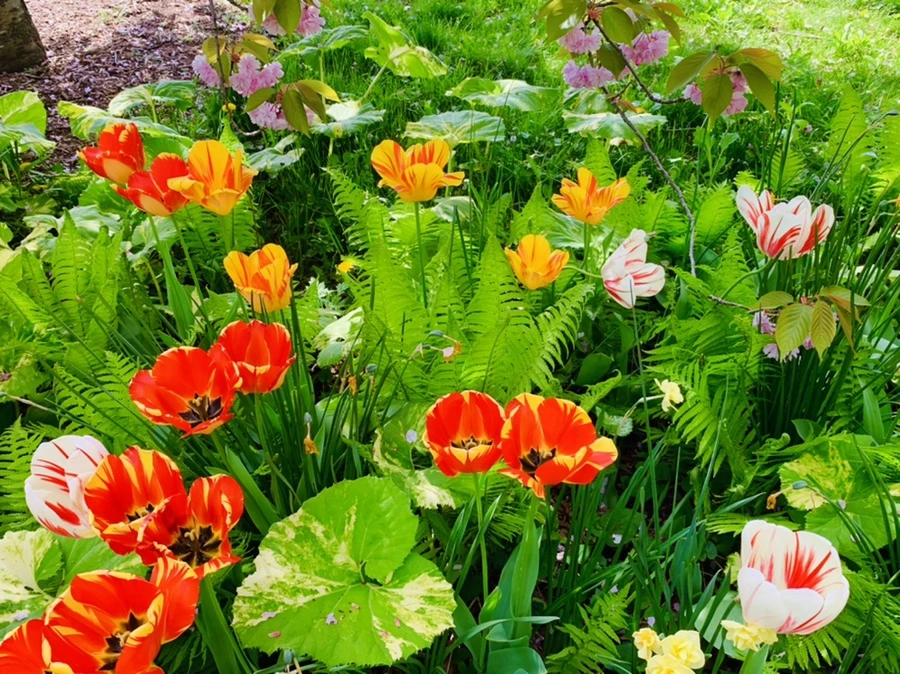 IMG_6877.jpg?type=w966