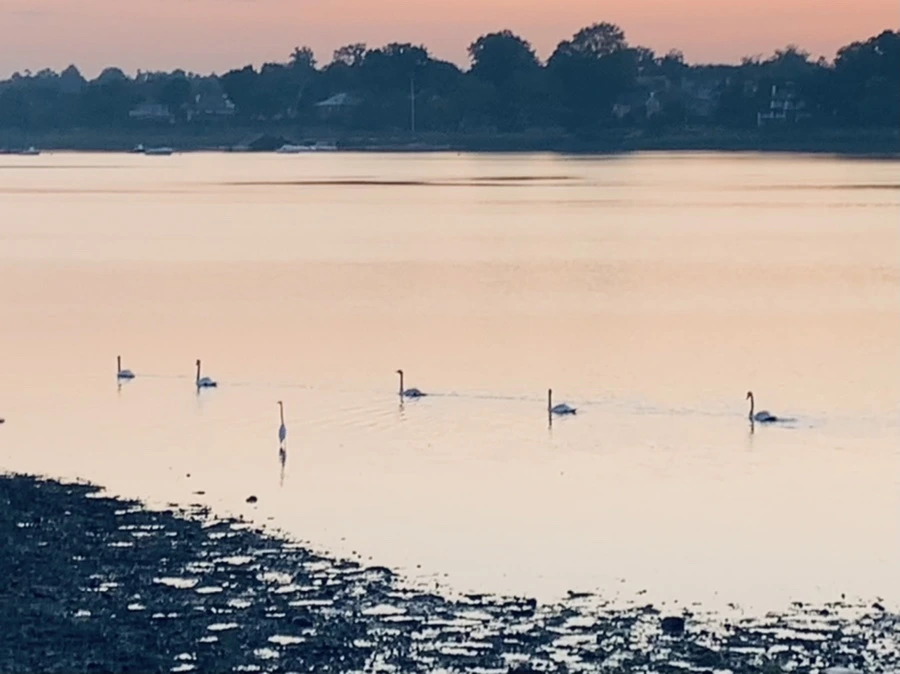 IMG_7128.jpg?type=w966