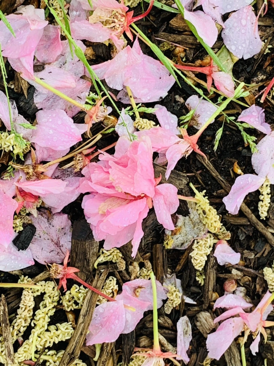 IMG_9777.jpg?type=w966