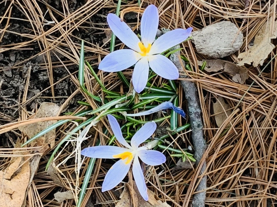 IMG_3172.jpg?type=w966