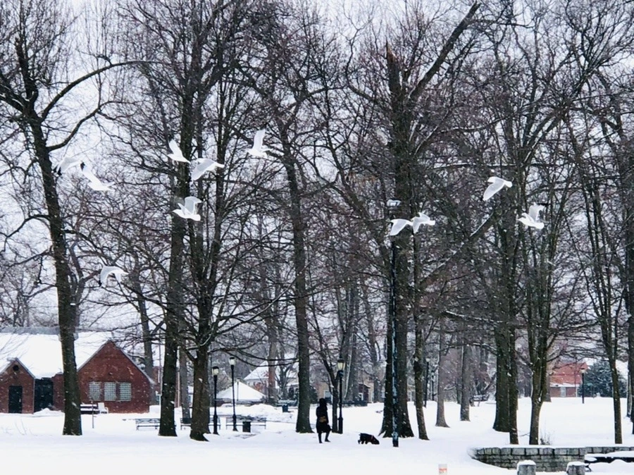 CWVXOQ__soUEmd7sja19RDewICs