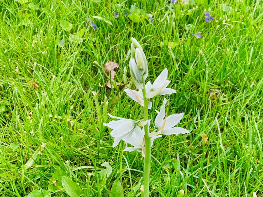 IMG_4042.jpg?type=w966