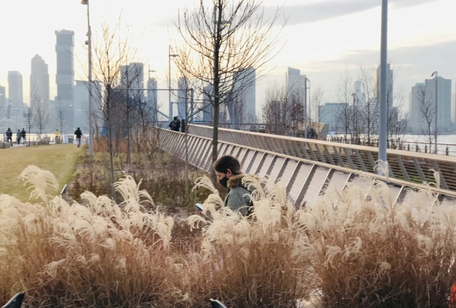 IMG_3070.jpg?type=w966