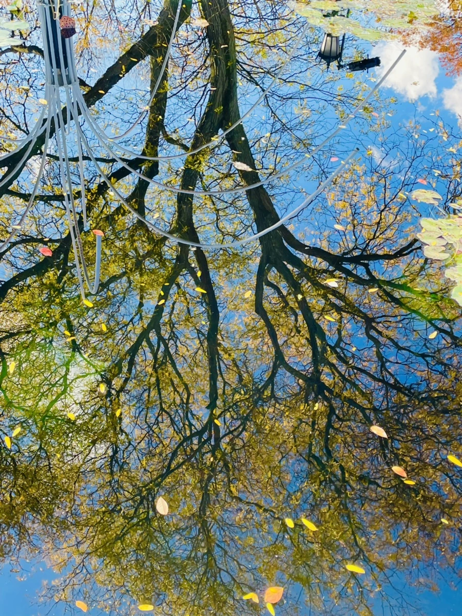 IMG_3159.jpg?type=w966