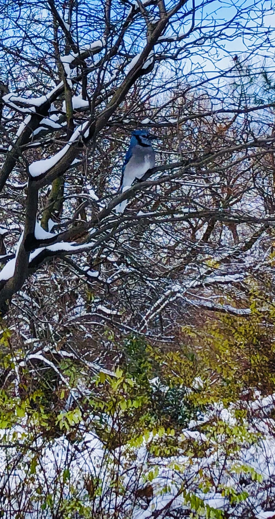 IMG_7030.jpg?type=w966