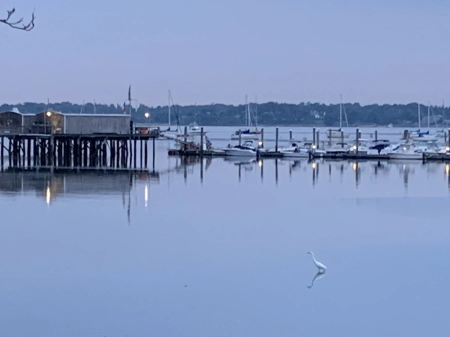 IMG_6216.jpg?type=w966