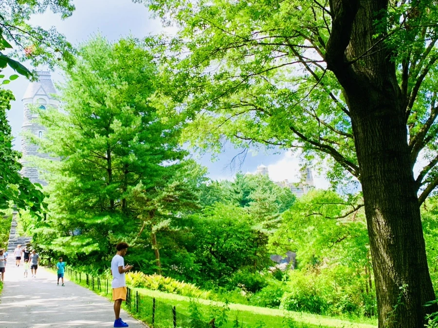 IMG_7939.jpg?type=w966