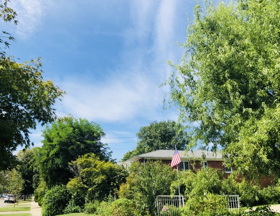 IMG_9853.jpg?type=w966