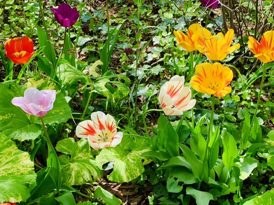 IMG_6861.jpg?type=w966