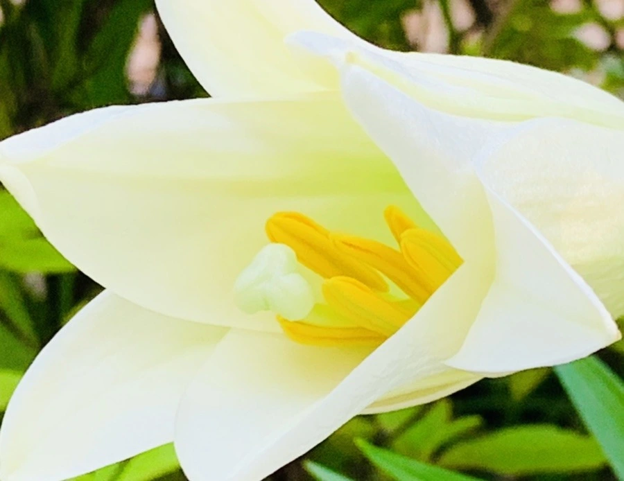 gBLvWue72GczwSTCjuTDCPtyRuI