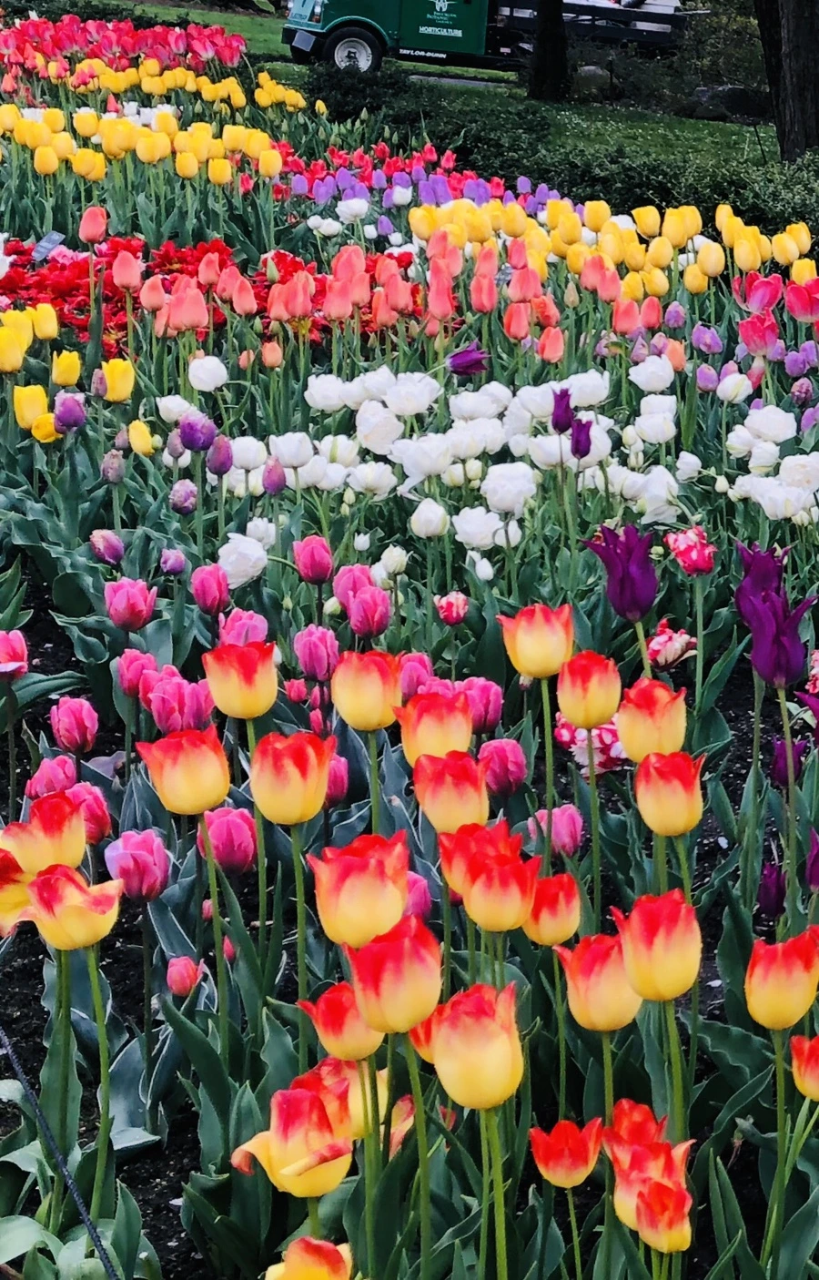 IMG_3703.jpg?type=w966