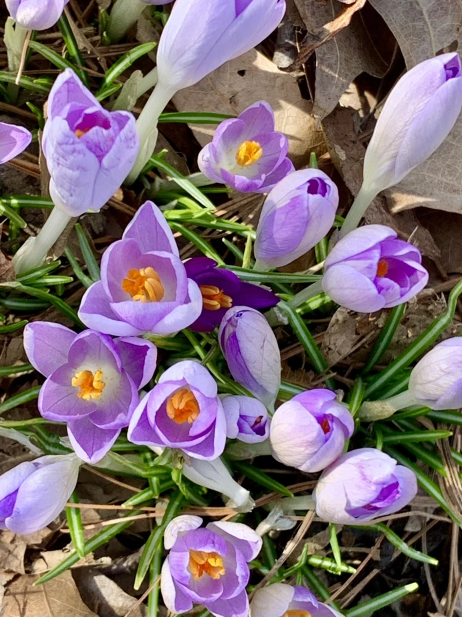 IMG_0134.jpg?type=w966