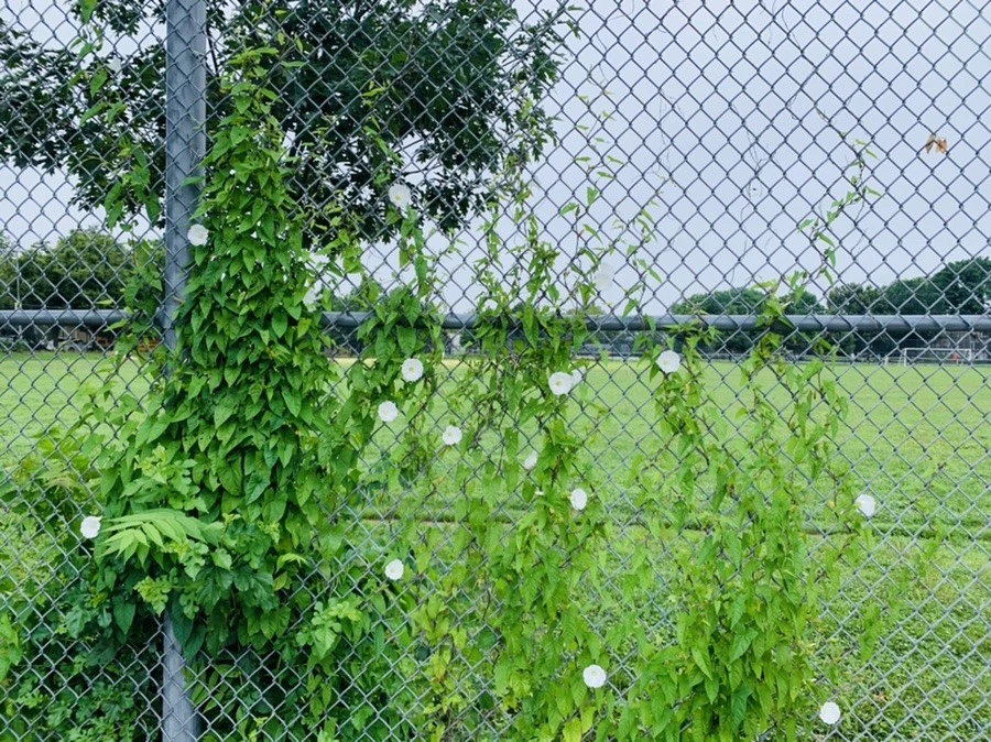 nudN3ijmcJzUY5X2oJdsPi858Iw