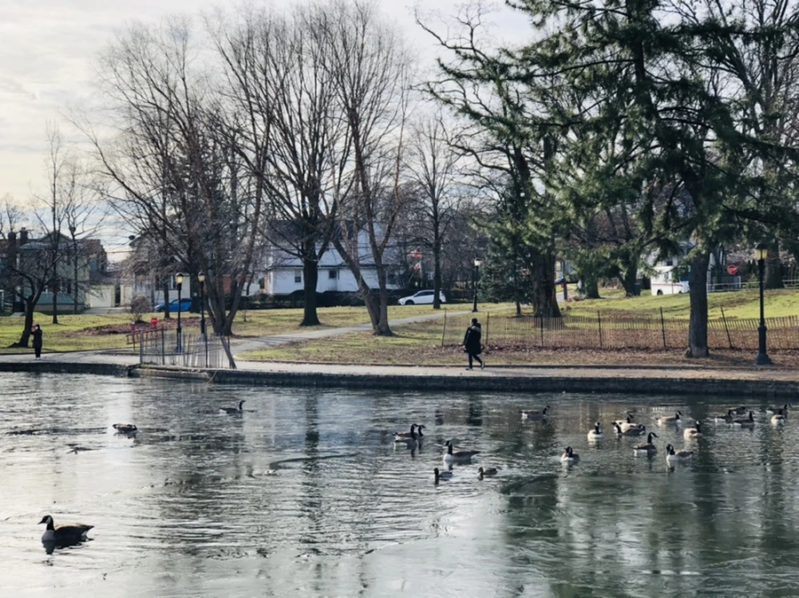 IMG_8464.jpg?type=w966