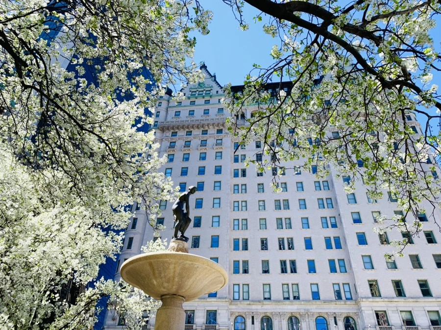 IMG_1615.jpg?type=w966