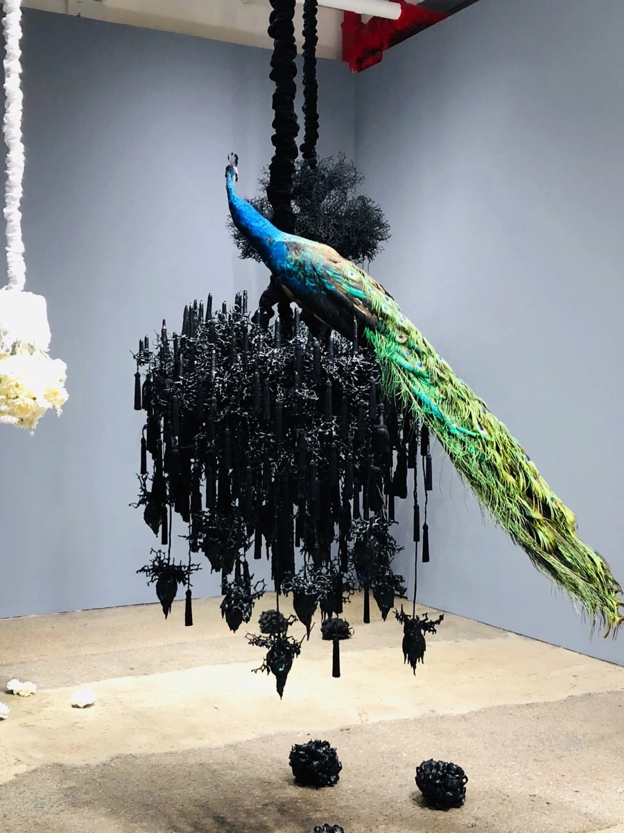 IMG_6698.jpg?type=w966