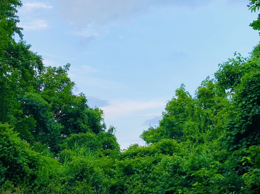 IMG_3009.jpg?type=w966