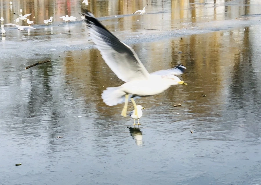 IMG_2107.jpg?type=w966