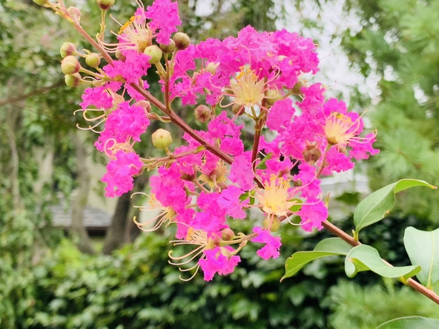 IMG_5957.jpg?type=w966