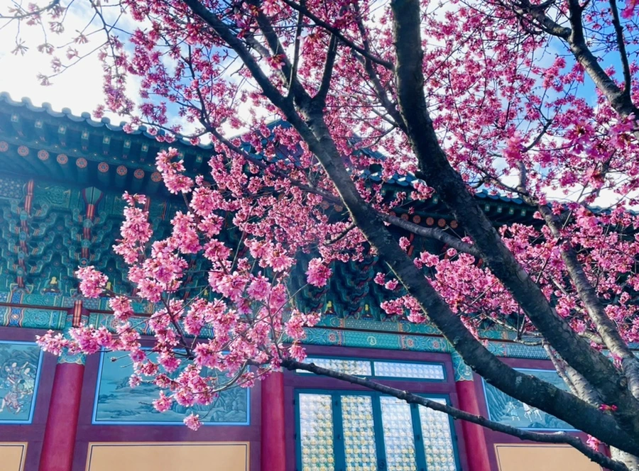 IMG_6197.jpg?type=w966