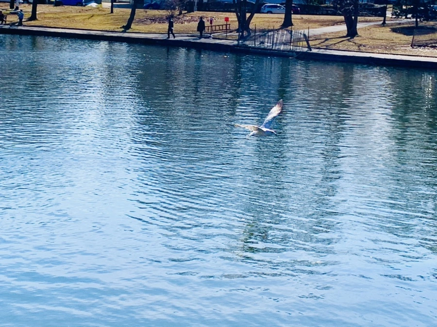 IMG_9576.jpg?type=w966