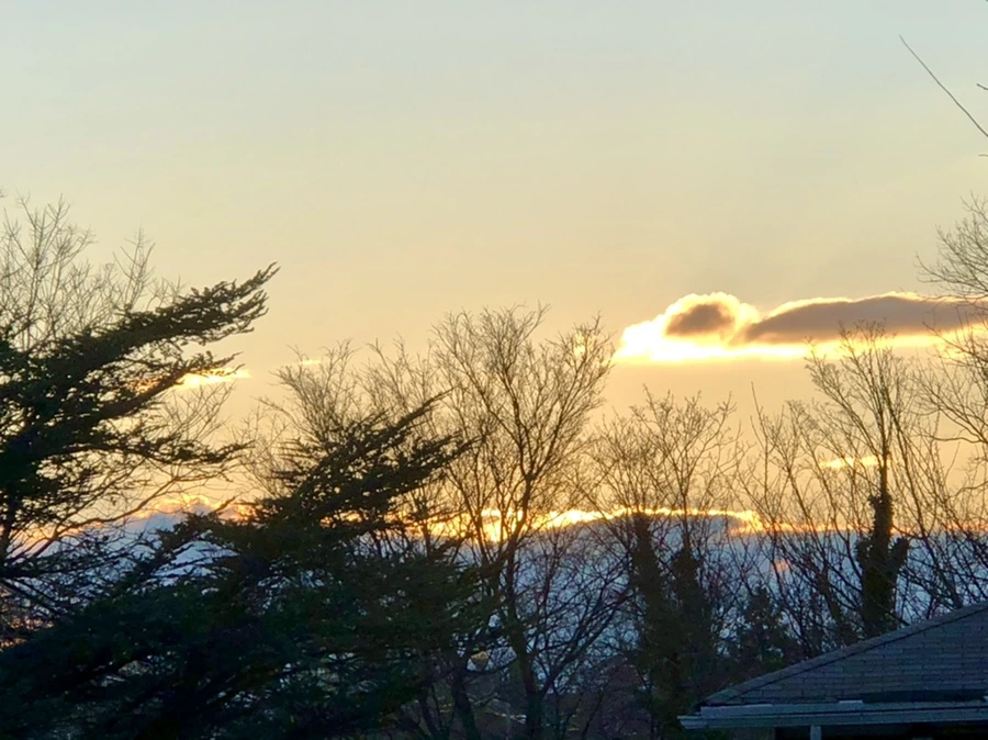 IMG_3049.jpg?type=w966