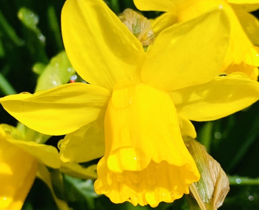 IMG_4023.jpg?type=w966