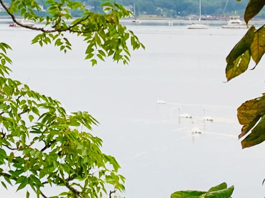 IMG_6422.jpg?type=w966