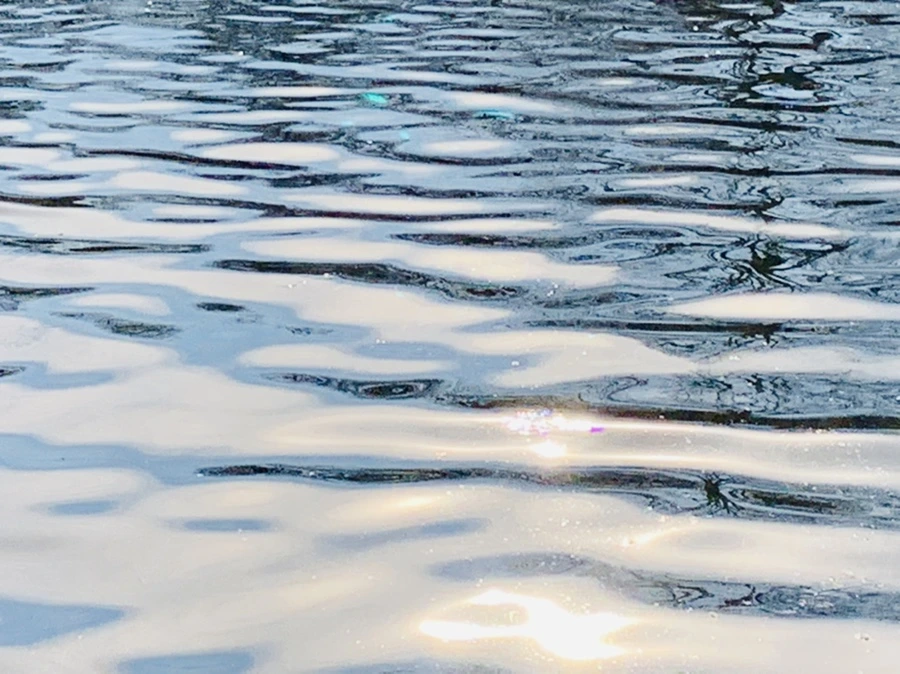 IMG_0380.jpg?type=w966