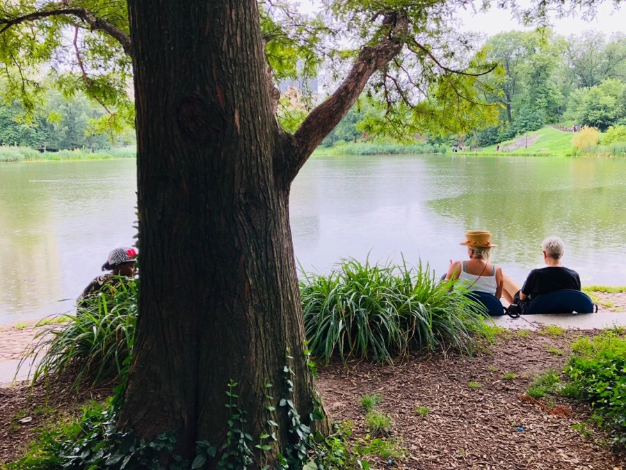 IMG_1828.jpg?type=w966