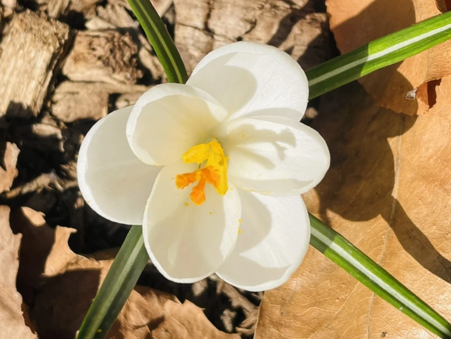 IMG_5583.jpg?type=w966