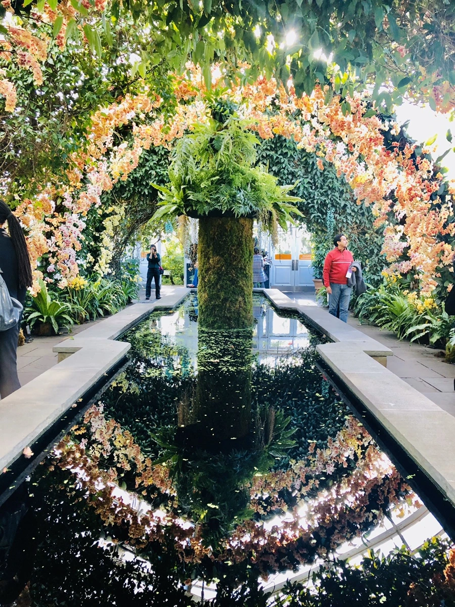 IMG_6305.jpg?type=w966