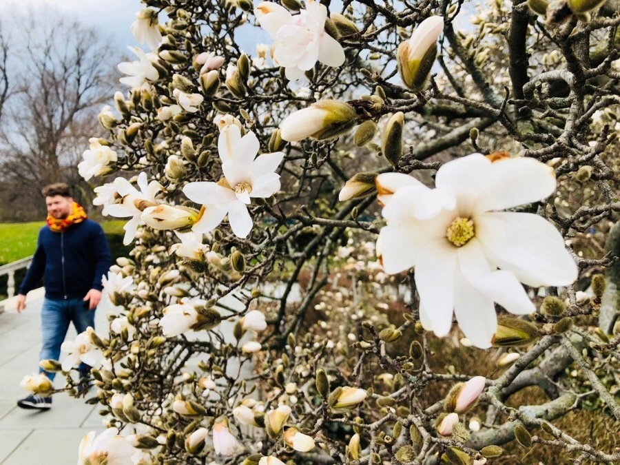 IMG_3833.jpg?type=w966