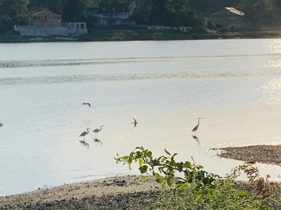 IMG_7796.jpg?type=w966