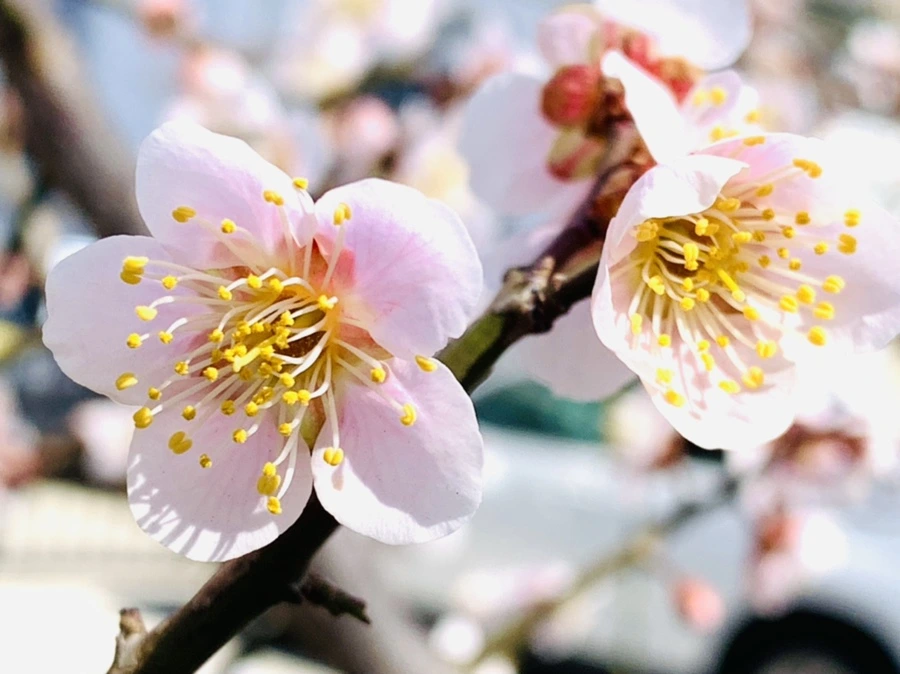 IMG_0986.jpg?type=w966