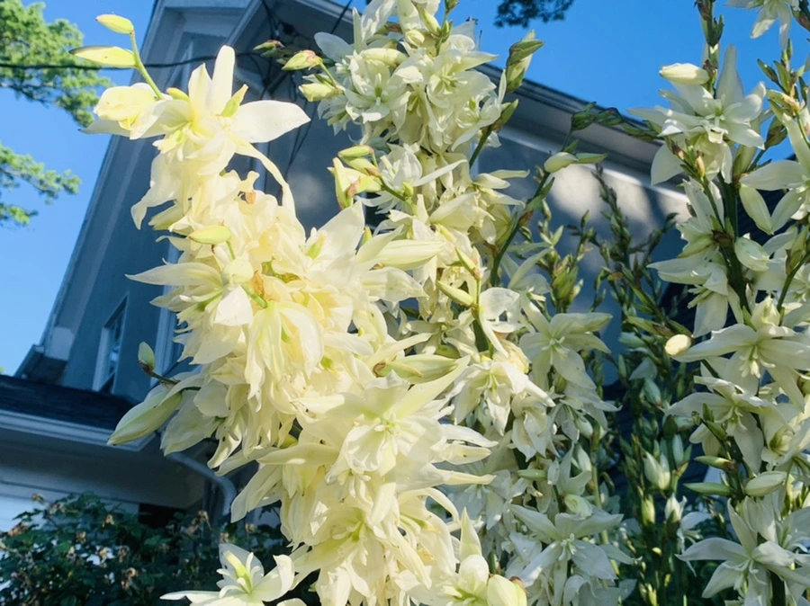 IMG_3974.jpg?type=w966