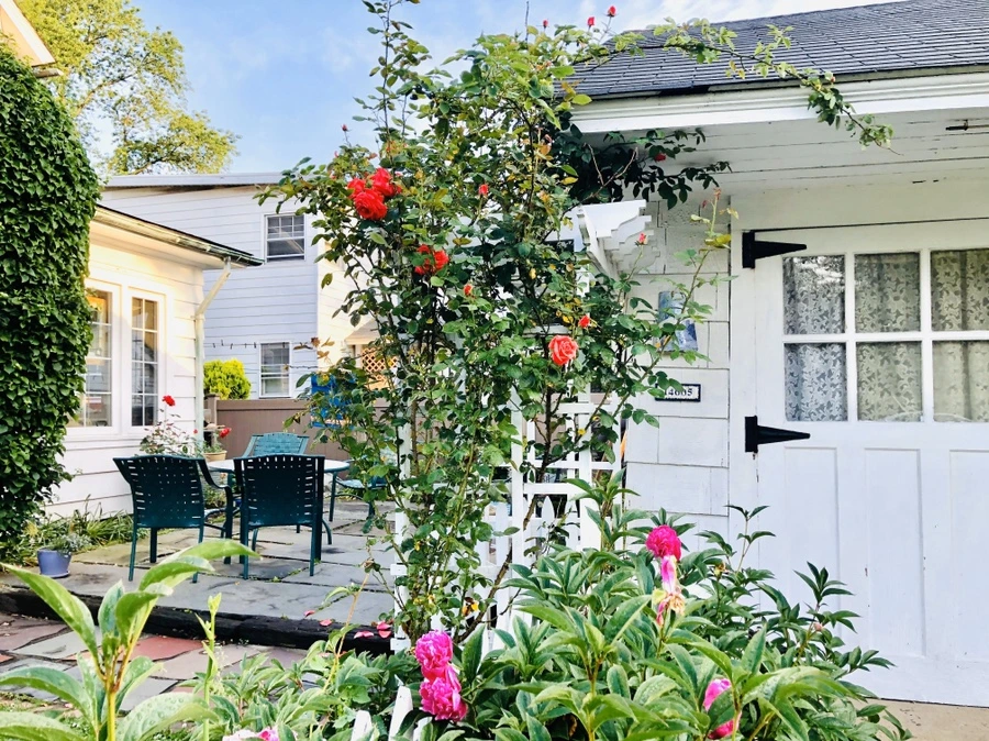 IMG_8211.jpg?type=w966